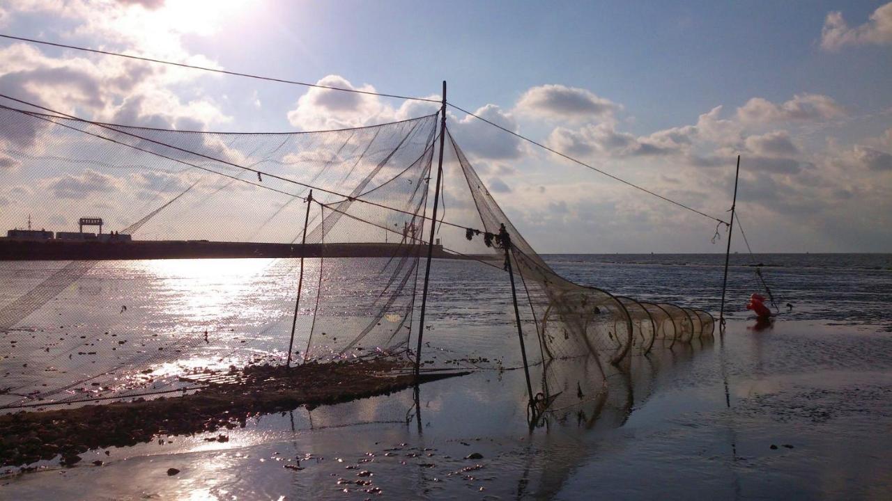 Sea La Vie Villa Lauwersoog Bagian luar foto