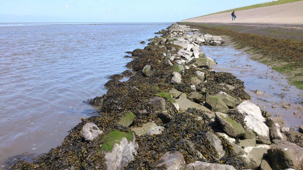 Sea La Vie Villa Lauwersoog Bagian luar foto