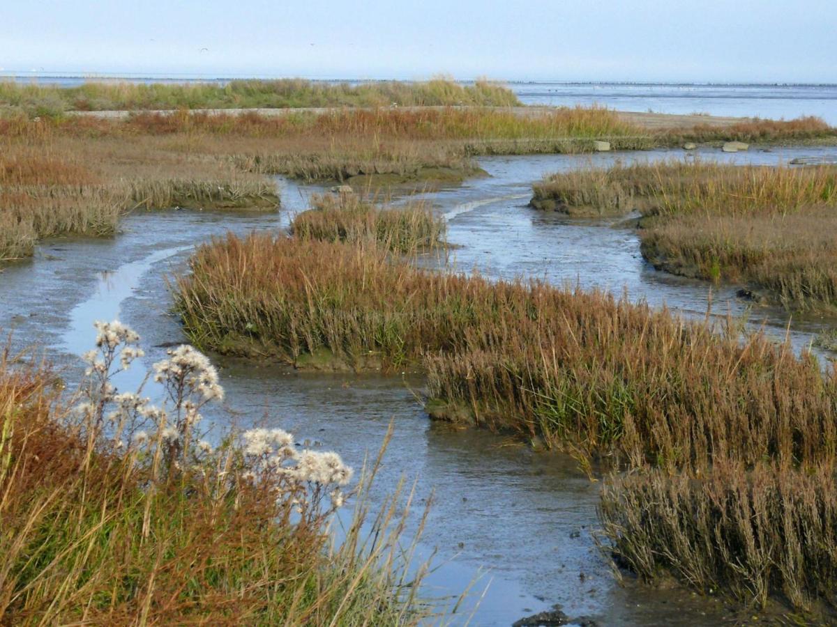 Sea La Vie Villa Lauwersoog Bagian luar foto